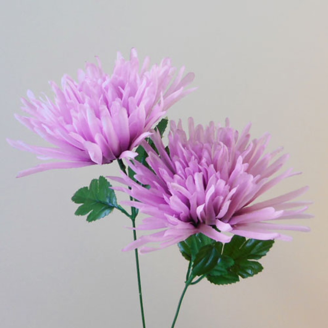 Artificial Spider Chrysanthemums Mauve with Green Leaves 64cm Silk